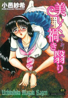 美しく禍き翳りの表紙