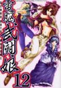 電脳武闘娘 12の表紙