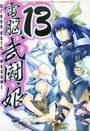 電脳武闘娘 13の表紙