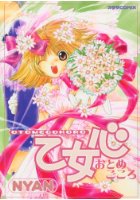 乙女心の表紙