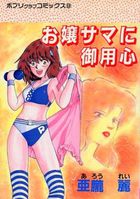 お嬢サマに御用心の表紙