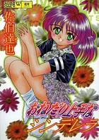 おねだり上手なシンデレラの表紙