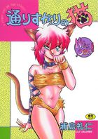 通りすがりの猫の表紙