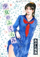 少女のふくらみの表紙