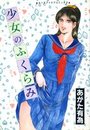少女のふくらみの表紙