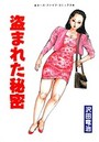 盗まれた秘密の表紙