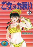 乙女のお願い 2の表紙