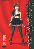 小悪魔の降る夜にの表紙|成年コミックデータベース