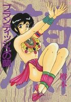 ブランディッシュの蘭の表紙