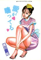 愛が鳴っているの表紙