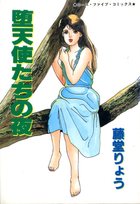 堕天使たちの夜の表紙
