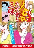 山崎大紀の人妻ただ乗り三昧 分冊版 (5) 淫乱妻体験 地方編のイメージ画像