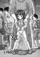 刺草のイメージ画像
