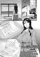 ハメトラレ（13）の表紙