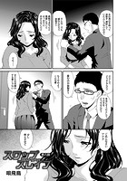 スワップスレイブ (8)のイメージ画像