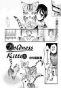 Boldness Kittenのイメージ画像