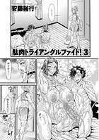 駄肉トライアングルファイト！3のイメージ画像