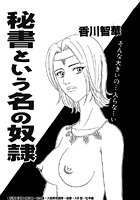 秘書という名の奴●のイメージ画像