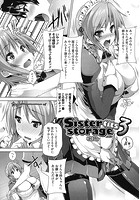 Sister tits storage 3のイメージ画像
