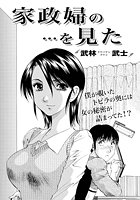 家政婦の…を見たの表紙|成年コミックデータベース
