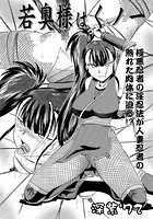 若奥様はくノ一のイメージ画像