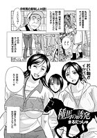 種馬の誘発のイメージ画像
