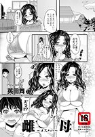 雌母のイメージ画像