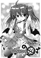 wizard 30のイメージ画像