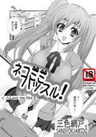 ネコミミハッスル!のイメージ画像