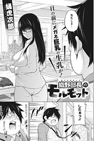 織野部長のモルモットのイメージ画像