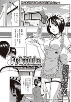 Primulaの表紙|成年コミックデータベース