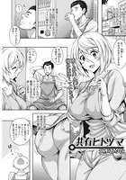 共有ヒトヅマのイメージ画像