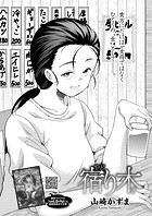 宿り木のイメージ画像