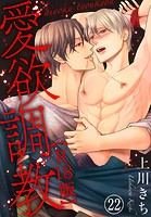 愛欲調教R18版 22の表紙