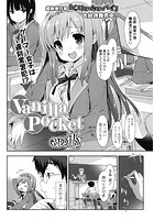 Vanilla Pocket 1のイメージ画像
