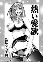 熱い愛欲のイメージ画像