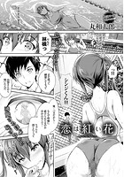 恋は紅い花のイメージ画像