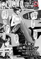 スパイ秘書3核吸引ヴァイブのイメージ画像