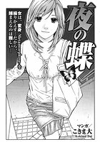 夜の蝶のイメージ画像