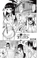 姉もねスターマイン 最終話の表紙