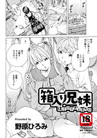 箱入り兄妹のイメージ画像