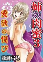 姉の肉蜜【分冊版】 愛欲の悦び 3の表紙