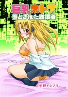 巨乳ネトア~堕とされた放課後~のイメージ画像