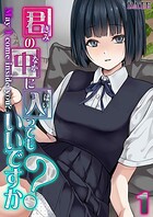 君の中に入ってもいいですか？（1）のイメージ画像