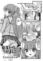 女子トイレでつかまえて！のイメージ画像