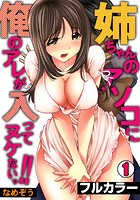 姉ちゃんのアソコに俺のアレが入ってヌケないっ！！【フルカラー】 （1）のイメージ画像