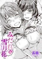 みだれ 雪月花のイメージ画像