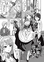 レイカは華麗な僕のメイド 4のイメージ画像