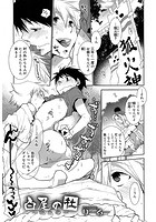 白尾の杜～狐火祭～の表紙