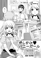 押しかけバニーガールのイメージ画像